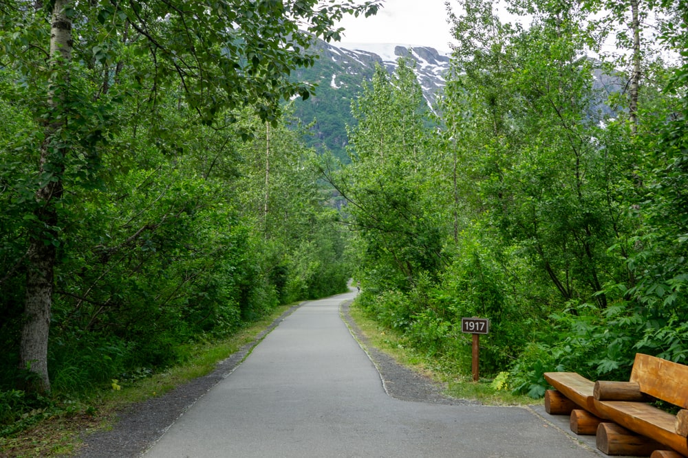 Ontdek Kenai Fjords National Park: een van de mooiste plekken in Alaska | Alaska, Amerika In 1917 kwam de Exit Glacier tot hier