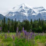 Mount Robson Provincial Park_ de hoogste berg in de Canadian Rockies