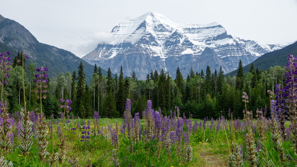 Mount Robson Provincial Park_ de hoogste berg in de Canadian Rockies