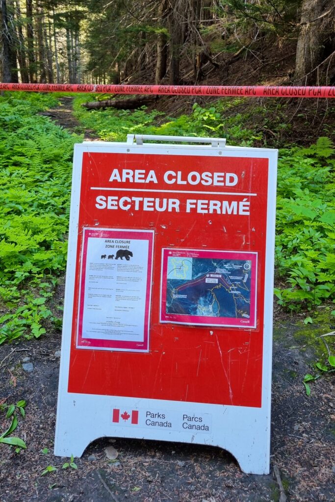 Waarschuwingsbord voor beren in Glacier National Park