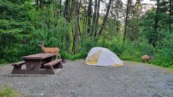 Kamperen in Canada_ Alles wat je moet weten