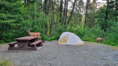 Kamperen in Canada: Alles wat je moet weten | Canada Kamperen in Canada_ Alles wat je moet weten