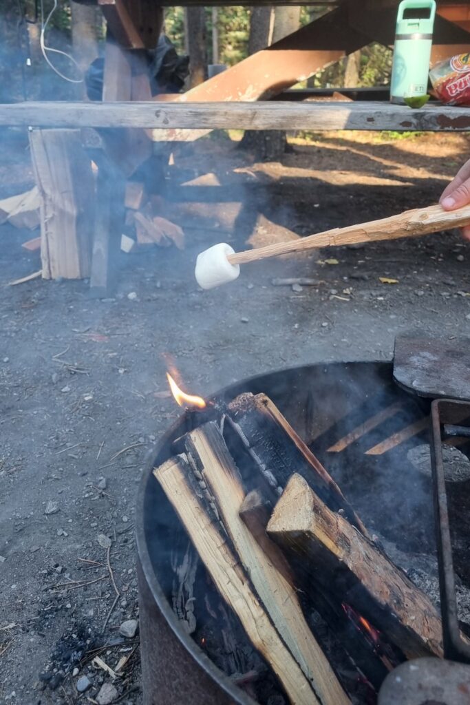 Marshmellows roosteren op het kampvuur
