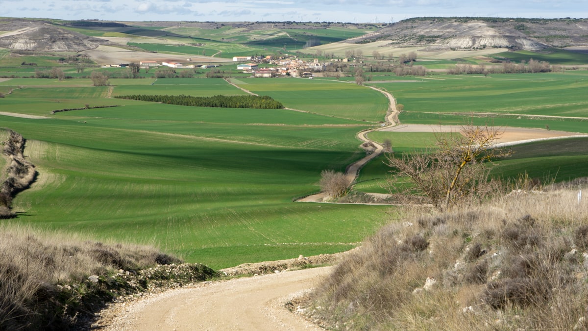 Camino Francés week 3_ De beruchte Meseta _ Reisverslag
