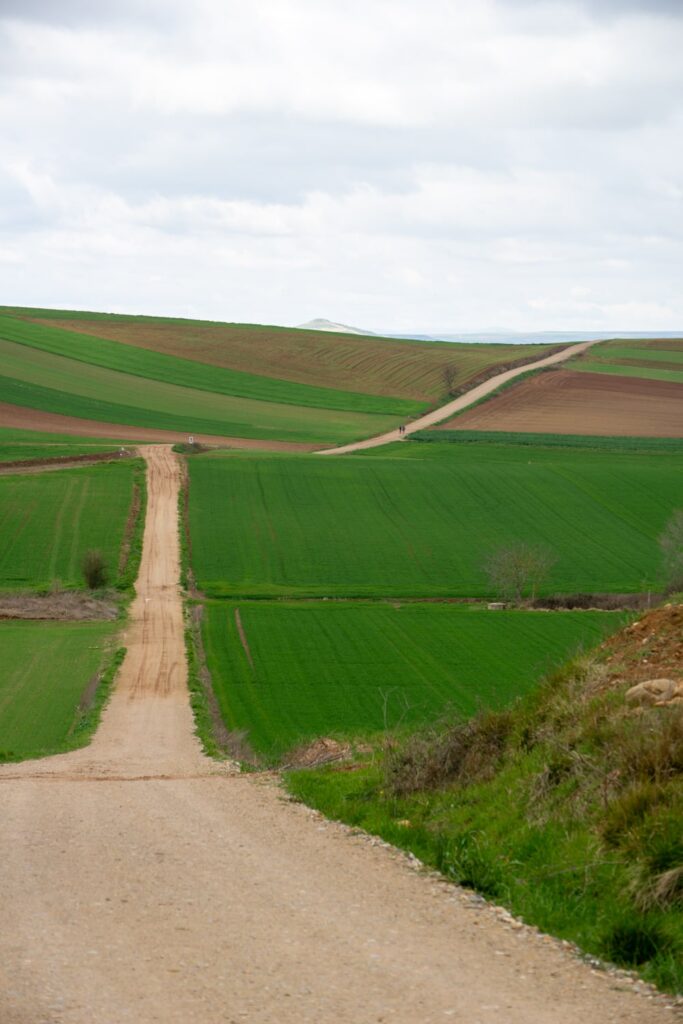 Camino bij Cirueña