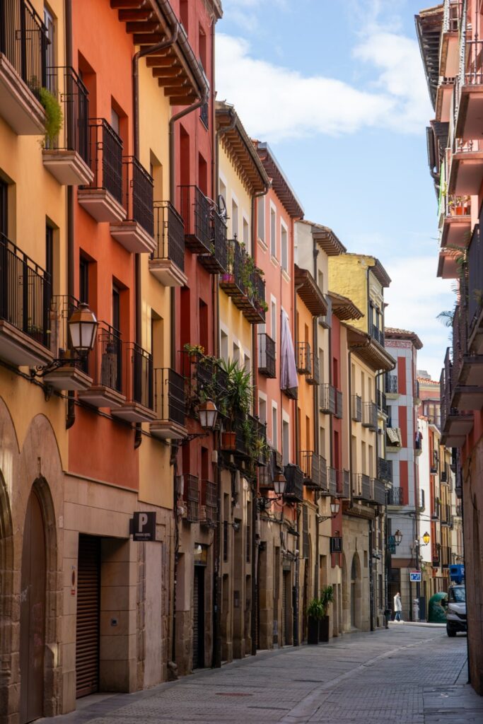 De etappe naar Logrono - Camino Frances
