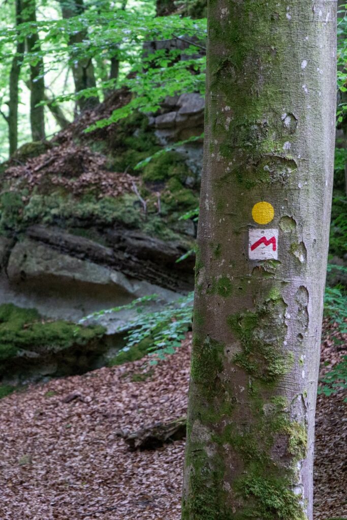 Hiking in Luxembourg: 7 beautiful routes and practical tips | Luxembourg The markings of the Mullerthal Trail cannot be missed