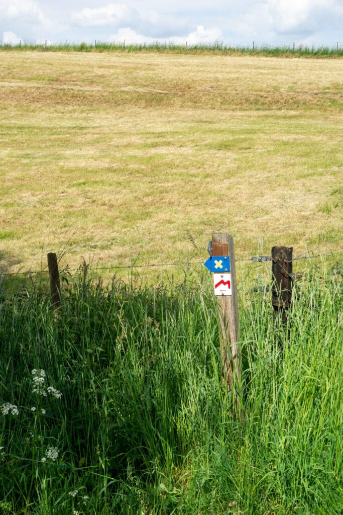 Mullerthal Trail Route 2: een onvergetelijk wandelavontuur | Luxemburg De markering van de Mullerthal Trail is niet te missen