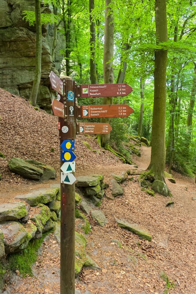 Mullerthal Trail Route 2: een onvergetelijk wandelavontuur | Luxemburg De markering van de Mullerthal Trail is niet te missen