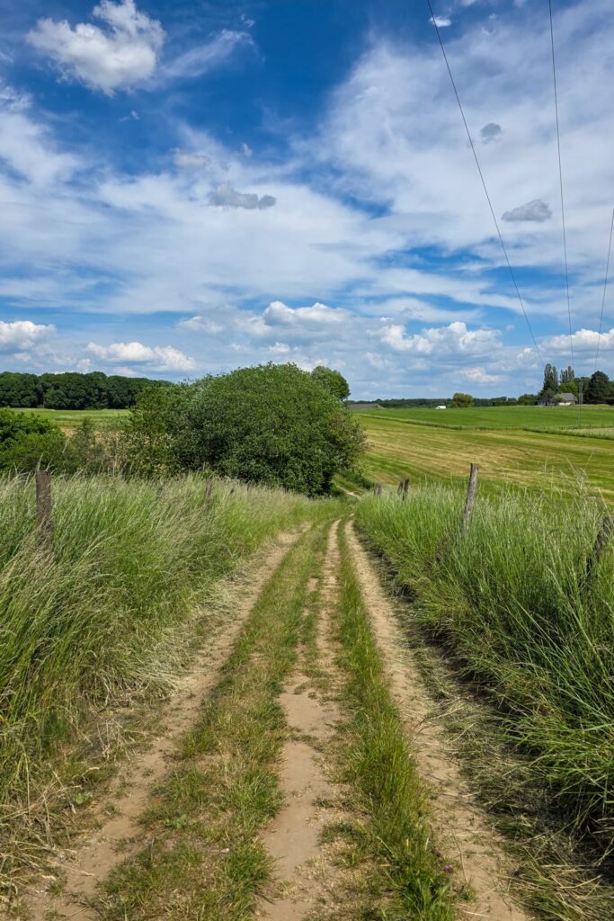 Mullerthal Trail Route 2: een onvergetelijk wandelavontuur | Luxemburg Mullerthal Trail Route 2
