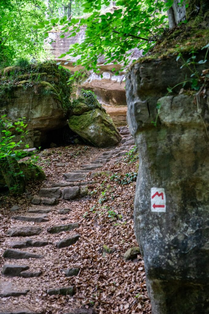 Mullerthal Trail Route 2: een onvergetelijk wandelavontuur | Luxemburg Mullerthal Trail Route 2