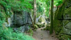 Mullerthal Trail Route 2_ een onvergetelijk wandelavontuur