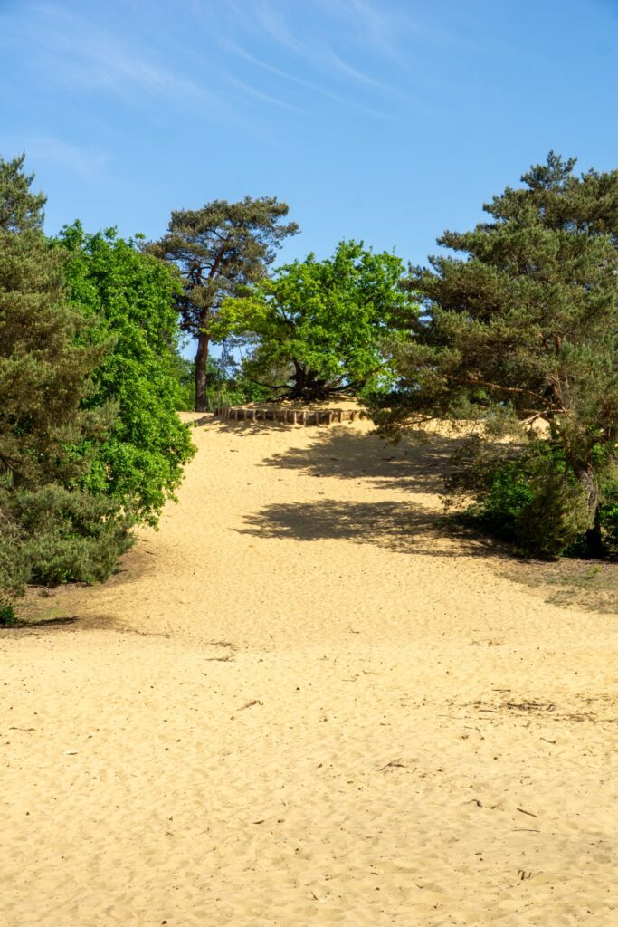 National Park Trail etappe 4
