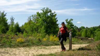 Wandel de National Park Trail_ de beste manier om Hoge Kempen te ontdekken