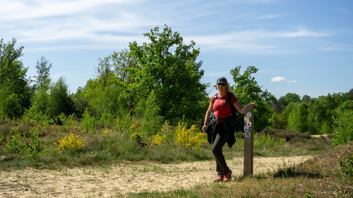 Wandel de National Park Trail_ de beste manier om Hoge Kempen te ontdekken