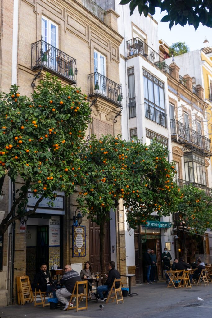 In de winter op het terras in Sevilla