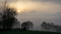 Mindful wandelen_ wat is het en hoe doe je het