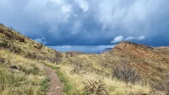 Wandelen in de regen_ tips en waarom je het vaker zou moeten doen