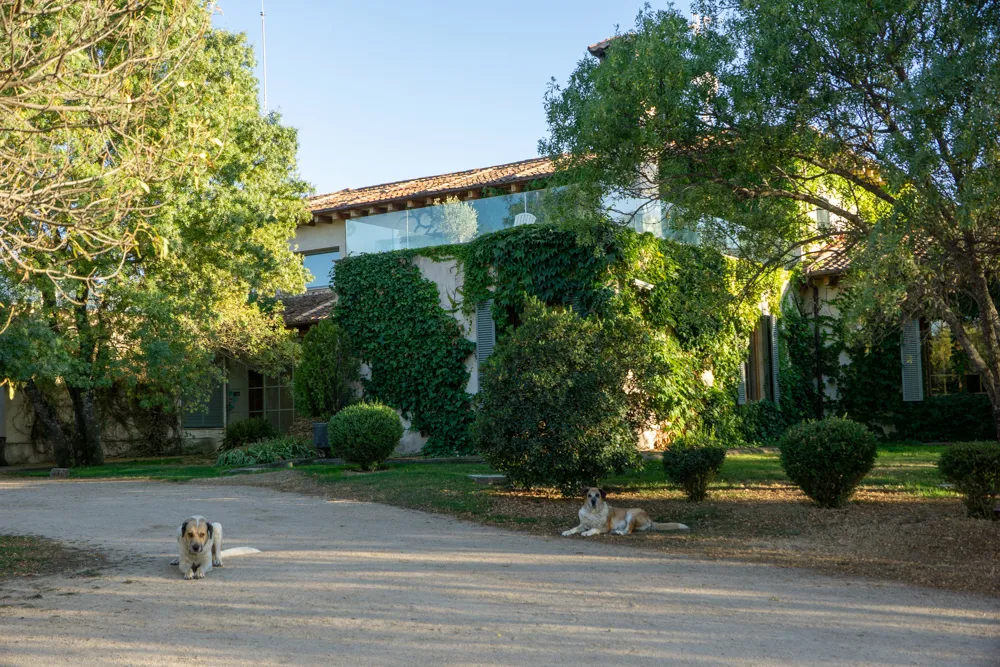 15 Segovia bezienswaardigheden die je niet mag missen | Spanje Hotel Finca Fuente Techada - vlakbij Segovia