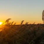 Camino Portugués #1_ Alleen starten in Lissabon _ Reisverslag