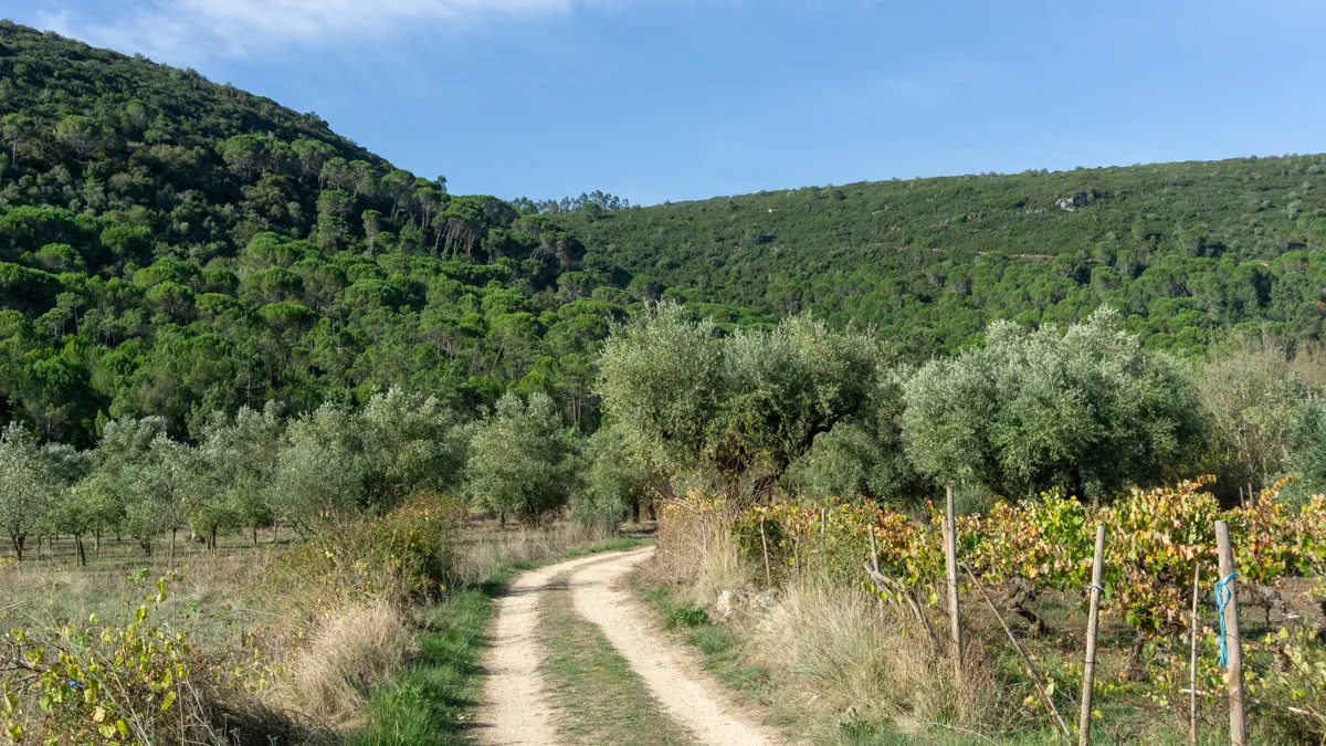 Camino Portugués #2_ klimmen, zweten en genieten tussen Tomar en Coimbra _ Reisverslag