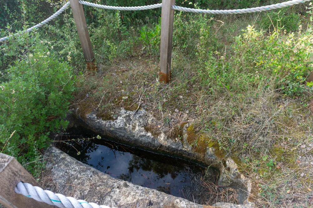 Camino Portugués #2: klimmen, zweten en genieten tussen Tomar en Coimbra | Reisverslag | Camino Portugues 2025 Oud graf langs de Camino Portugues