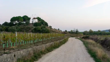 Camino Portugués from Lisbon to Porto: tips from personal experience | Portugal Camino Portugués from Lisbon to Porto_ tips from personal experience