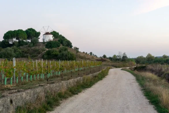 Camino Portugués vanaf Lissabon naar Porto_ tips uit eigen ervaring