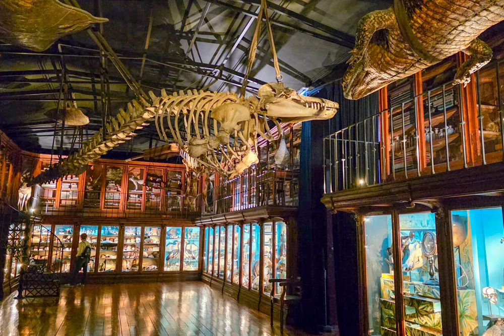 Camino Portugués #2: klimmen, zweten en genieten tussen Tomar en Coimbra | Reisverslag | Camino Portugues 2025 De universiteit van Coimbra