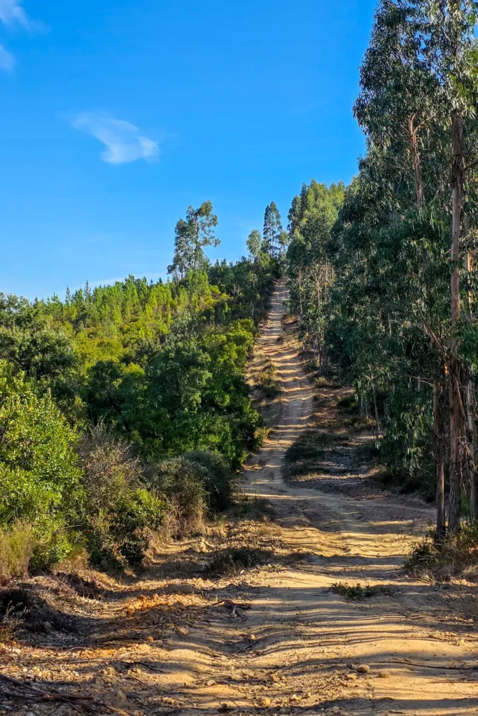 Camino Portugués #1: Alleen starten in Lissabon | Reisverslag | Camino Portugues 2025 Een stevige klim op de Camino Portugues