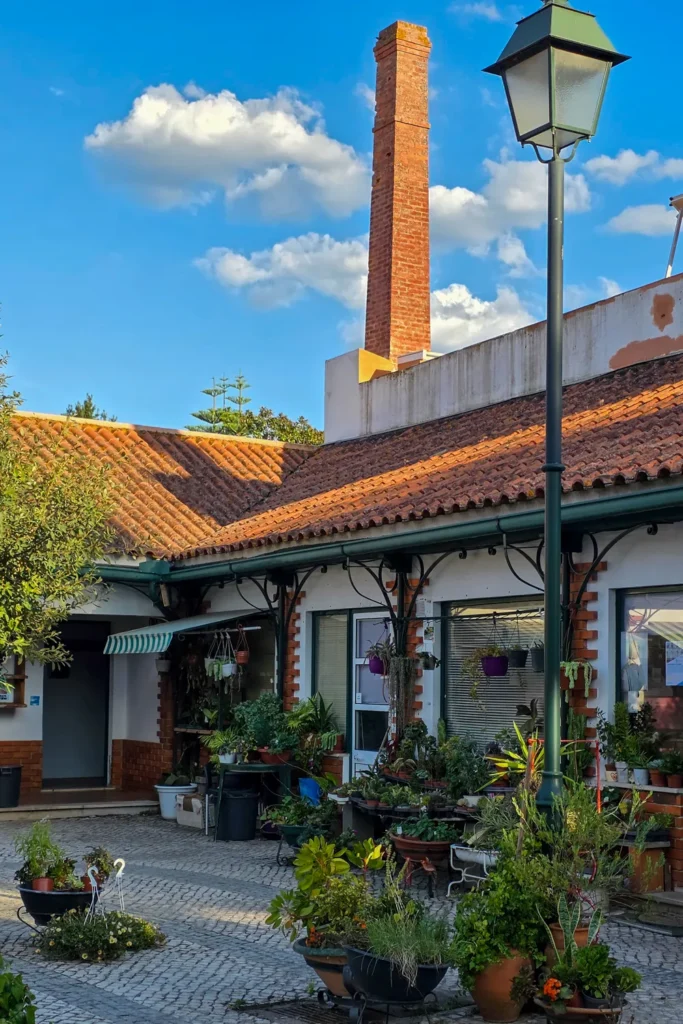 Camino Portugués #1: Alleen starten in Lissabon | Reisverslag | Camino Portugues 2025 Golega in Portugal