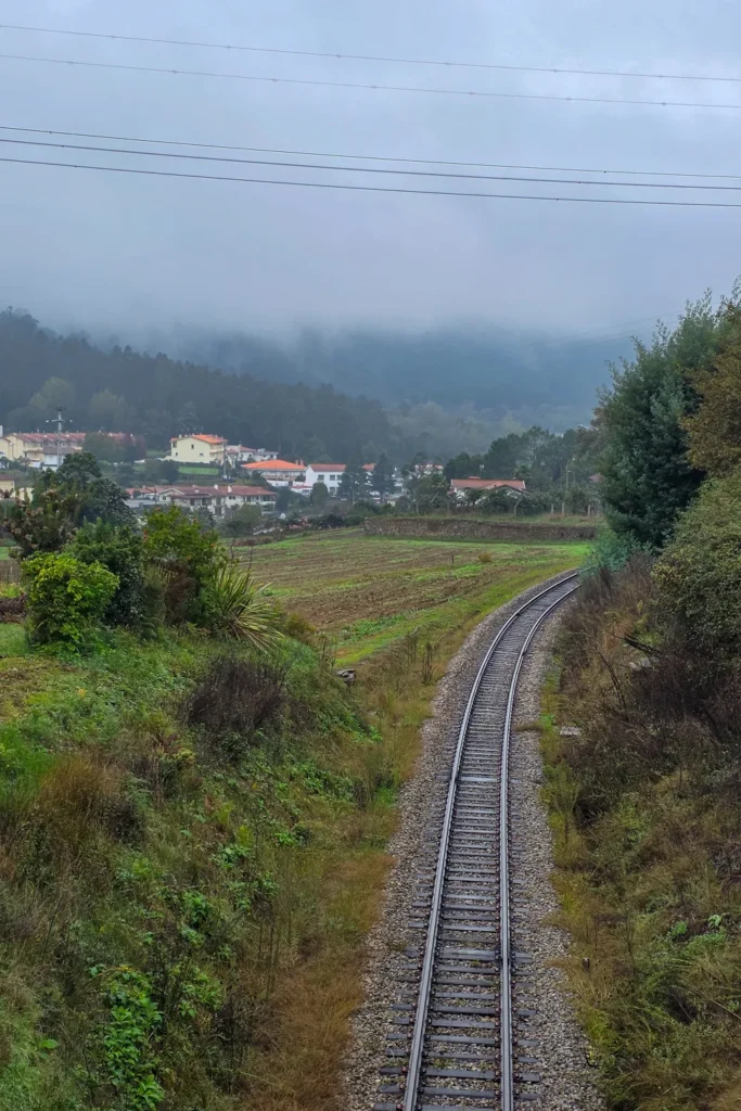 Camino Portugués #3: Mooie ontmoetingen en op naar Porto! | Reisverslag | Camino Portugues 2025 Mistig landschap op de Camino