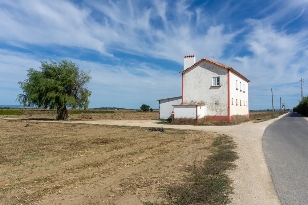 Camino Portugués #1: Alleen starten in Lissabon | Reisverslag | Camino Portugues 2025 Tussen de wijngaarden na Santarem