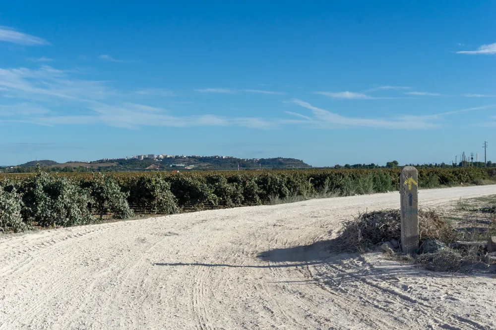 Camino Portugués #1: Alleen starten in Lissabon | Reisverslag | Camino Portugues 2025 Tussen de wijngaarden naar Santarem