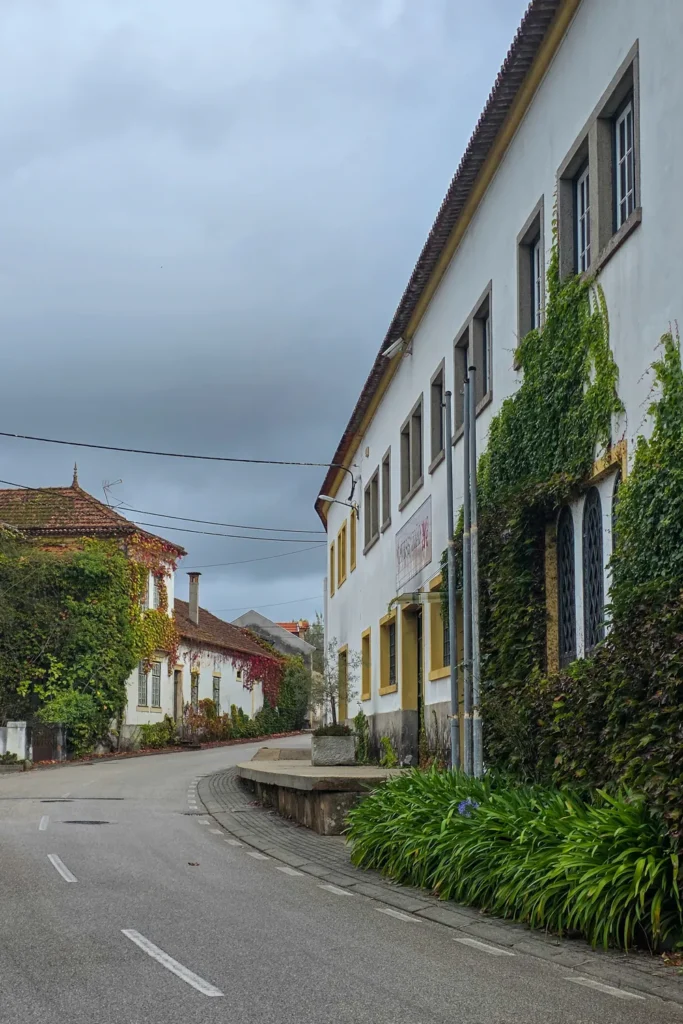 Camino Portugués #3: Mooie ontmoetingen en op naar Porto! | Reisverslag | Camino Portugues 2025 Veel asfalt na Mealhada