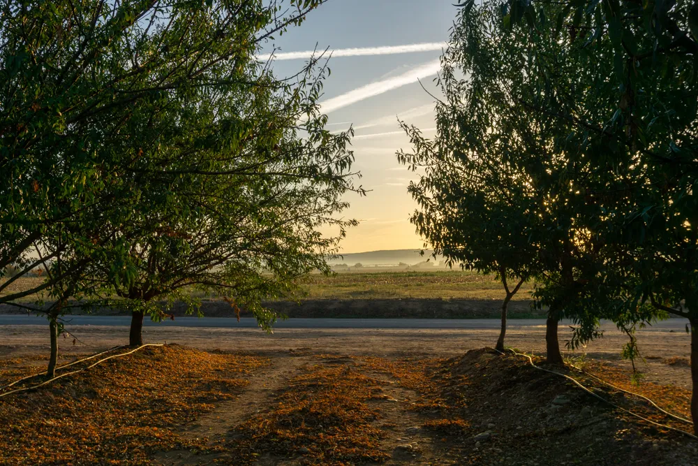 Camino Portugués #1: Alleen starten in Lissabon | Reisverslag | Camino Portugues 2025 Wandelen tussen de fruitbomen