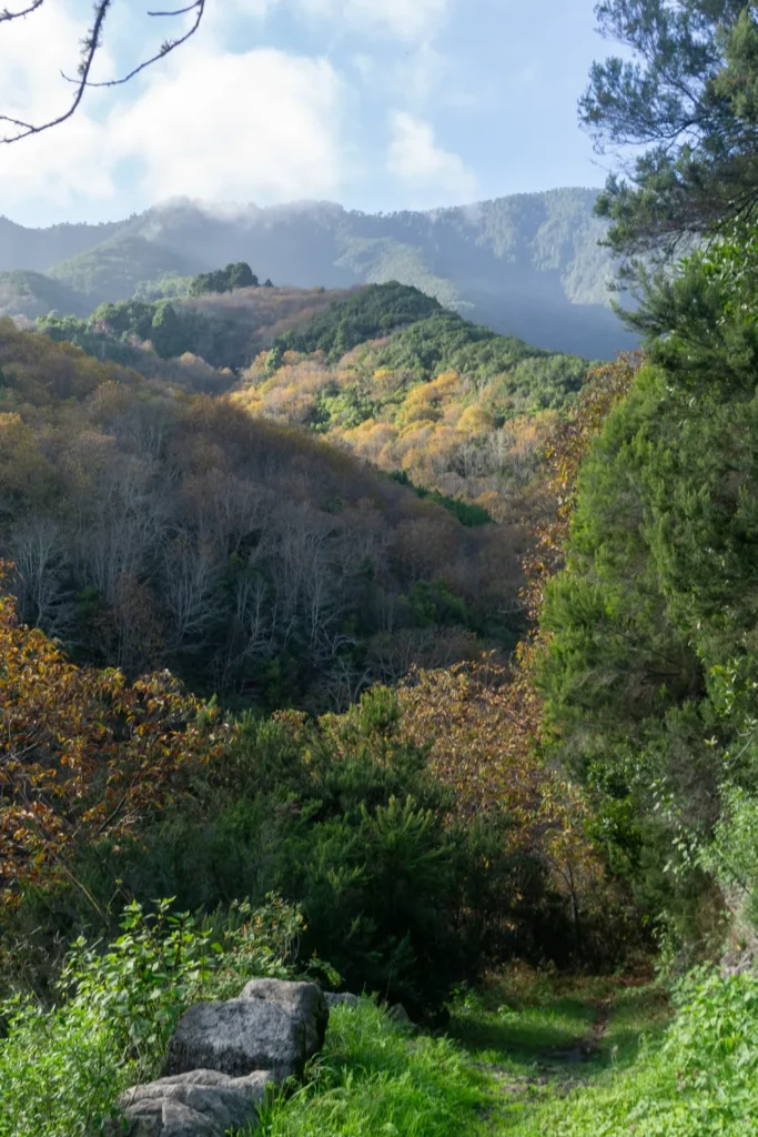 12x de mooiste wandelgebieden in Spanje | Spanje Wandelen op La Palma