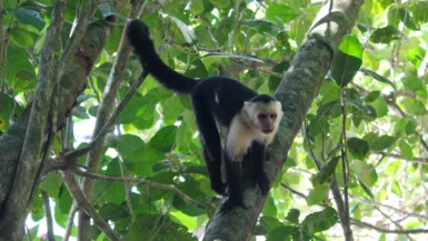Paklijst Costa Rica: 15 dingen die je absoluut niet mag vergeten | Costa Rica Paklijst Costa Rica_ dingen die je absoluut niet mag vergeten