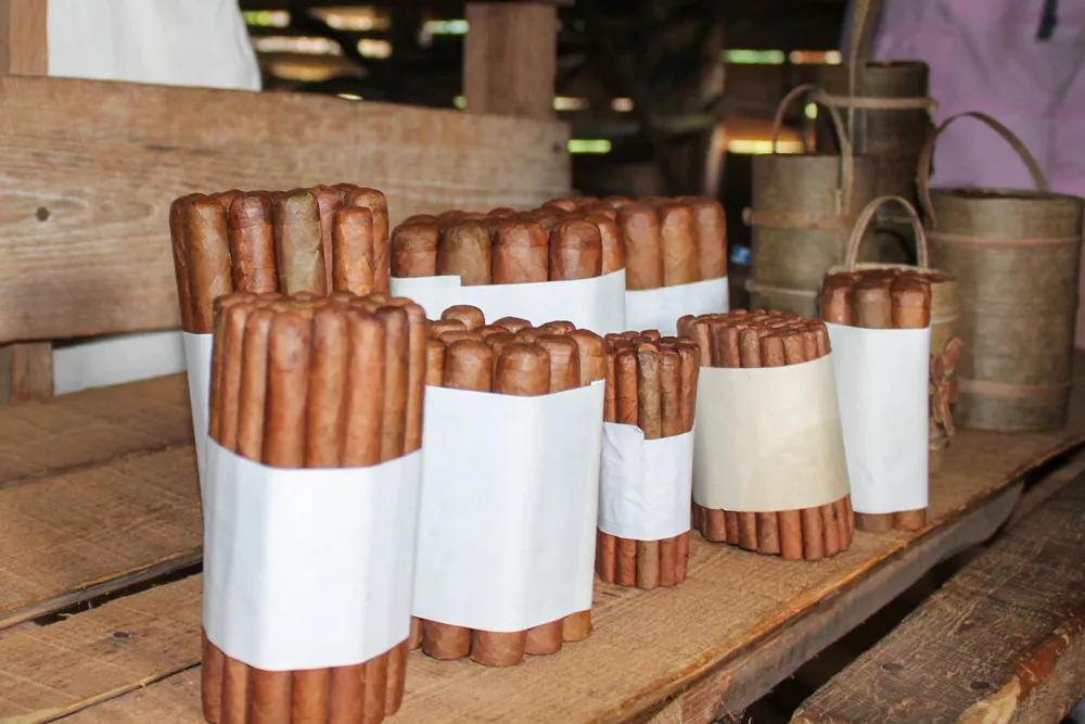 Valley of Vinales: 8 tips for the green heart of Cuba | Cuba Cigars in Vinales