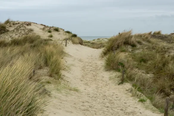 The coastal walking route- wonderful walks along the Belgian coast